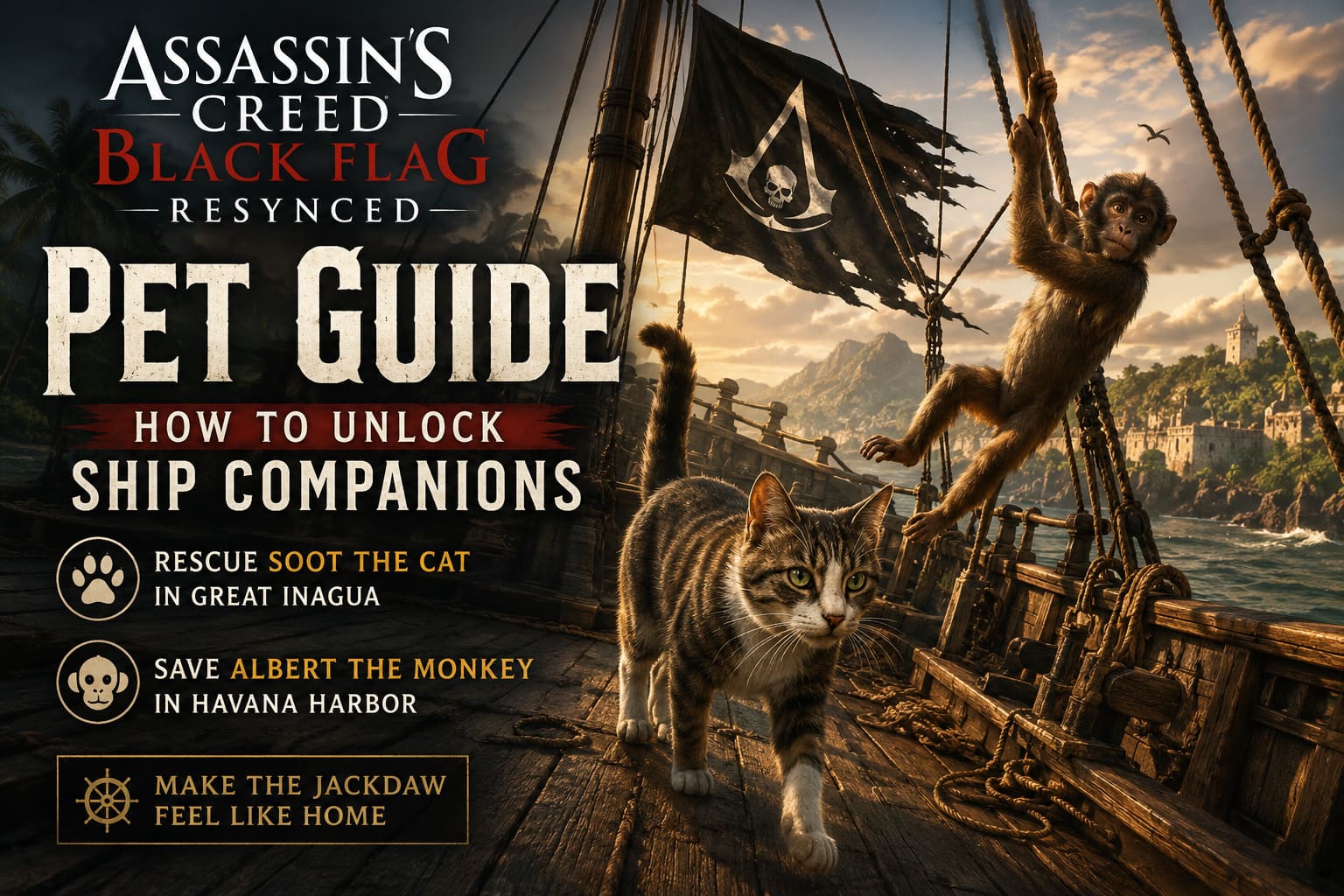 Assassin's Creed Black Flag Resynced Pet Guide: How to Unlock Ship Companions (Cat & Monkey Location) Assassin's Creed Black Flag Resynced Pet Guide: How to Unlock Ship Companions (Cat & Monkey Location)