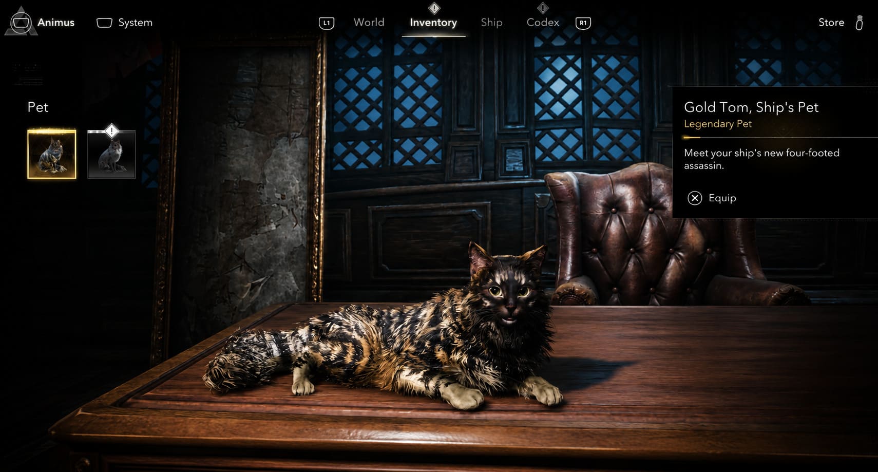 Assassin's Creed Black Flag Resynced Pet Guide: How to Unlock Ship Companions (Cat & Monkey Location) Assassin's Creed Black Flag Resynced Pet Guide: How to Unlock Ship Companions (Cat & Monkey Location)